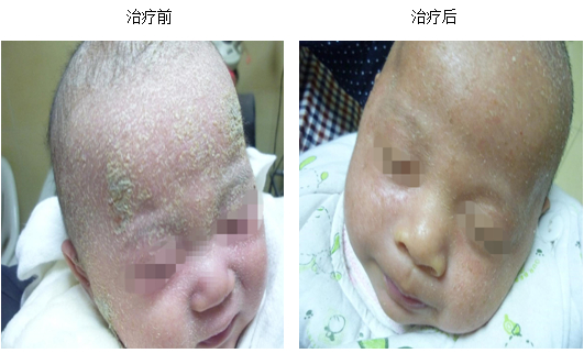 bte·365(中国)体育在线官网