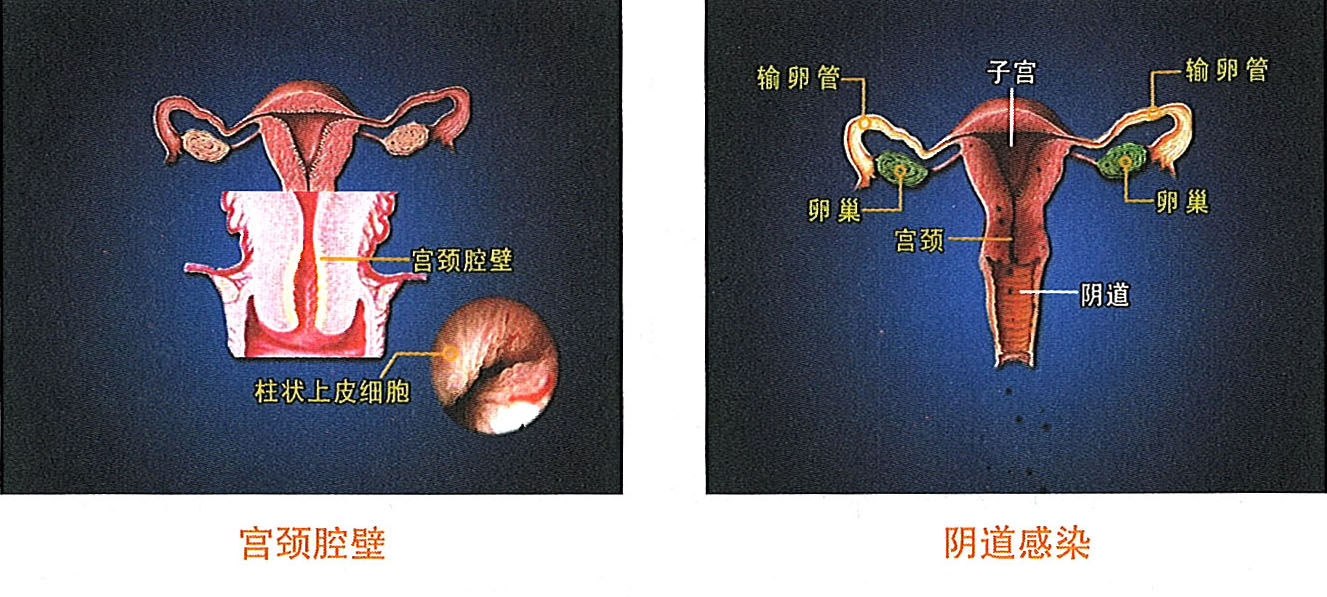 bte·365(中国)体育在线官网