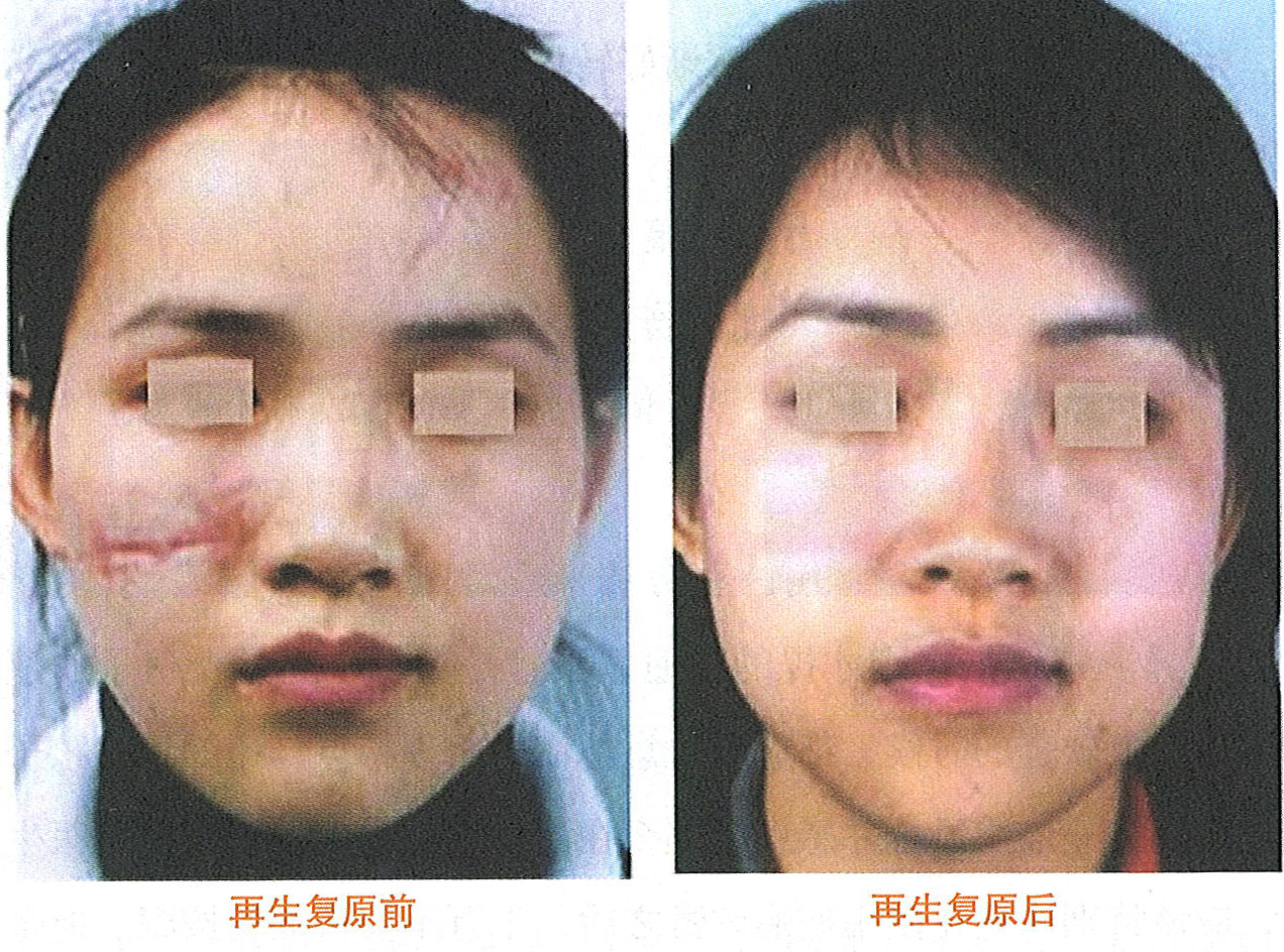 bte·365(中国)体育在线官网